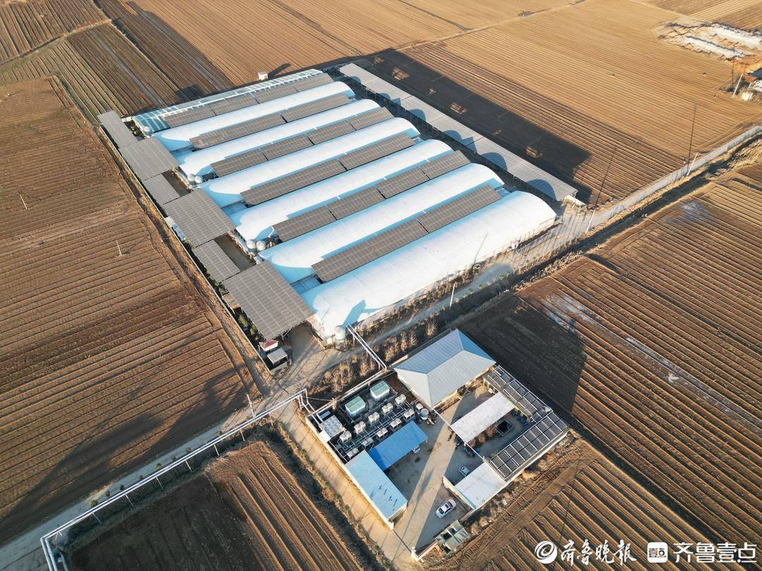 魯擔惠農貸賦能東平養殖產業 富華養殖場實現生態養殖良性迴圈