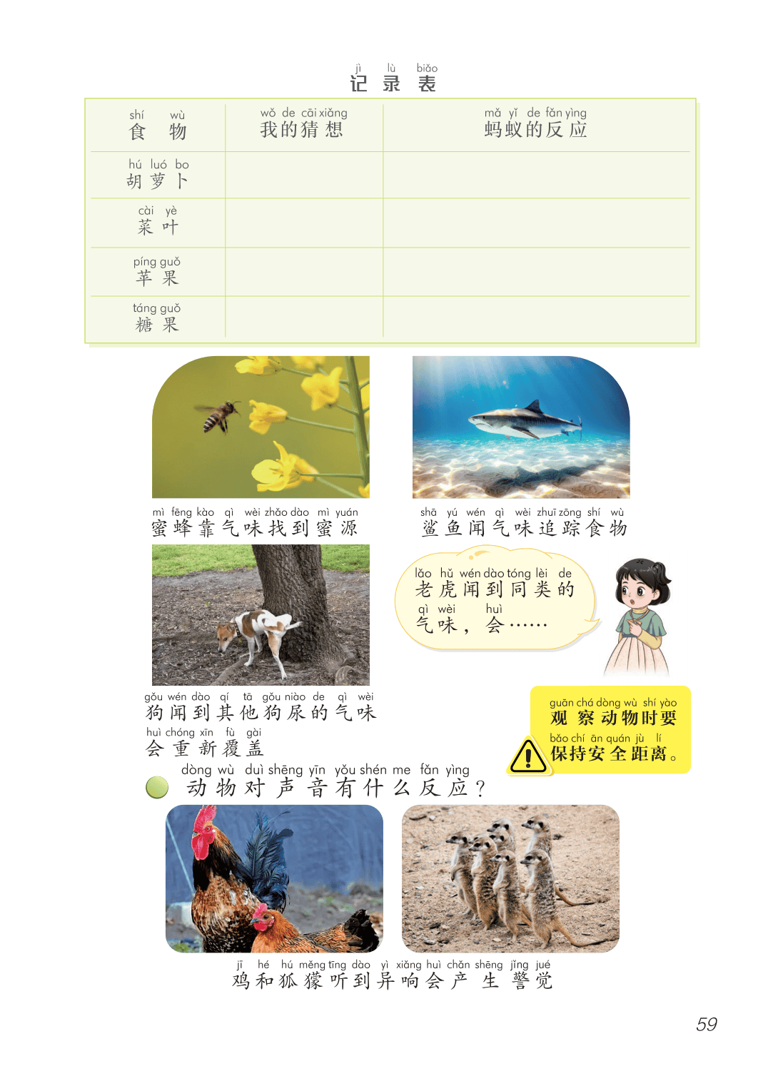 2026青島版一年級科學下冊電子課本(PDF高畫質版新教材)