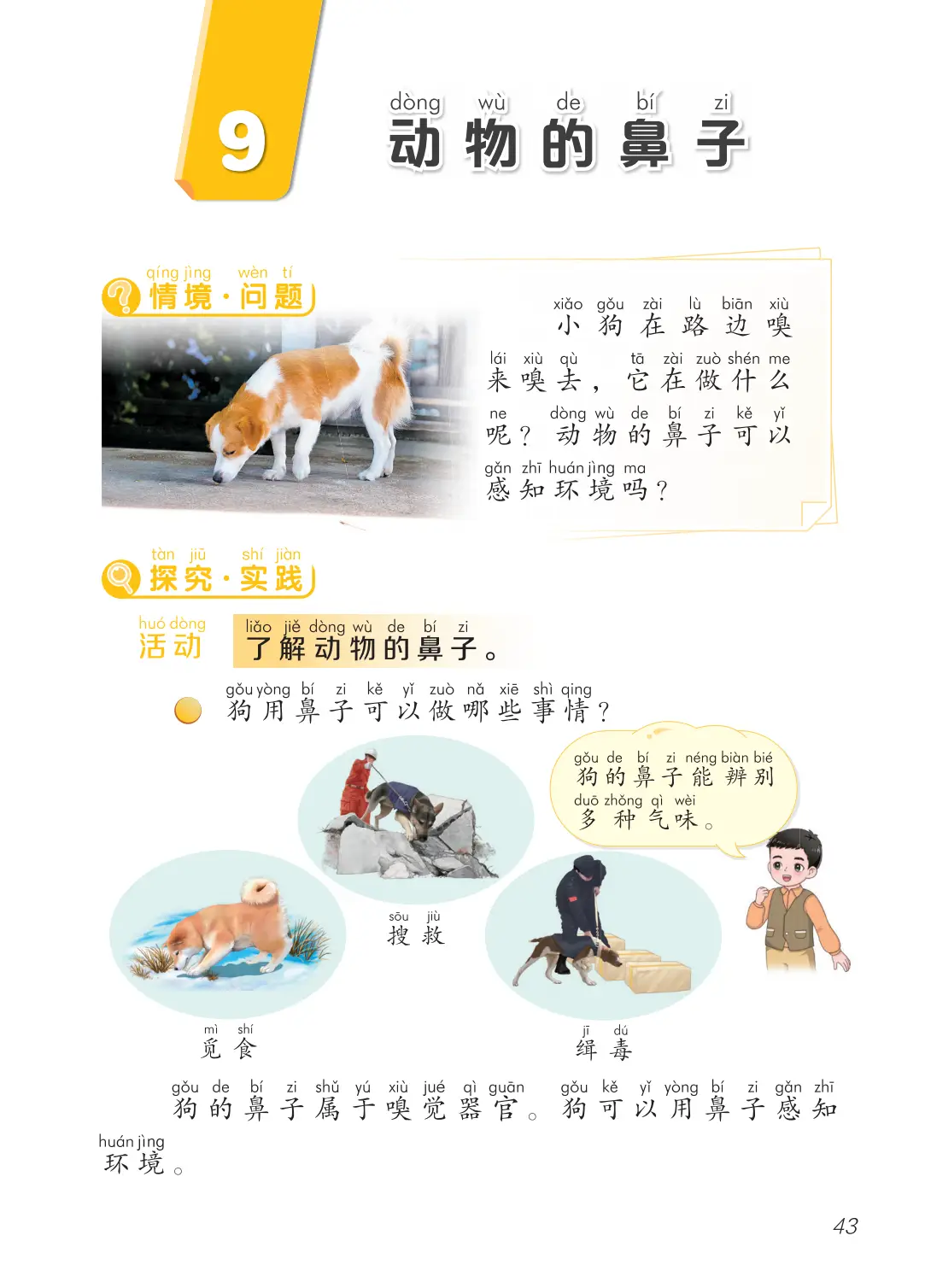 2026青島版一年級科學下冊電子課本(PDF高畫質版新教材)