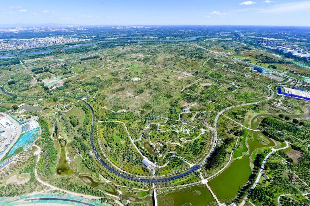 收藏！通州三條綠道上榜北京春花地圖！賞花時間、交通方式…